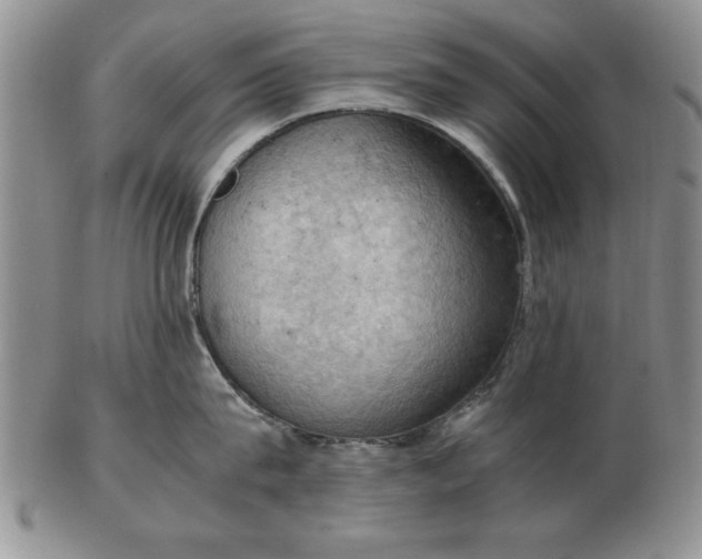 X0000103140815200809051613