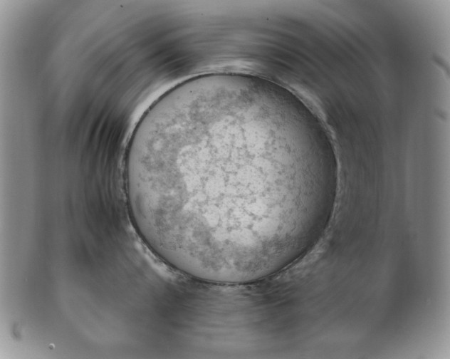 X0000103140816200809051613