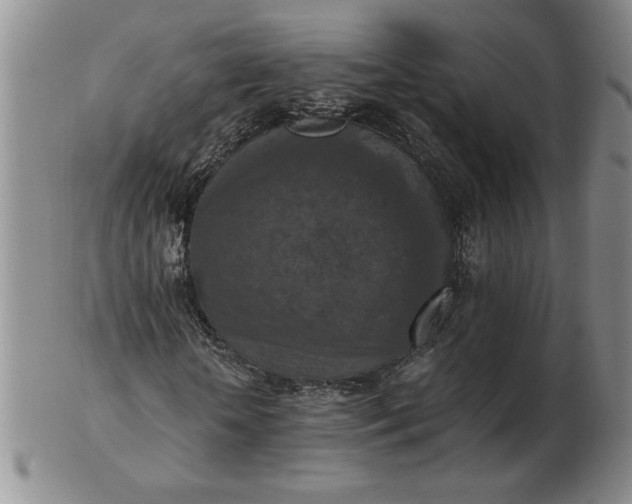 X0000103140818200809051612