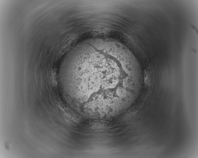 X0000103140819200809051612