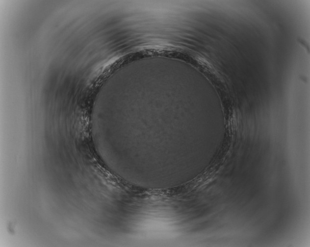 X0000103140822200809051612