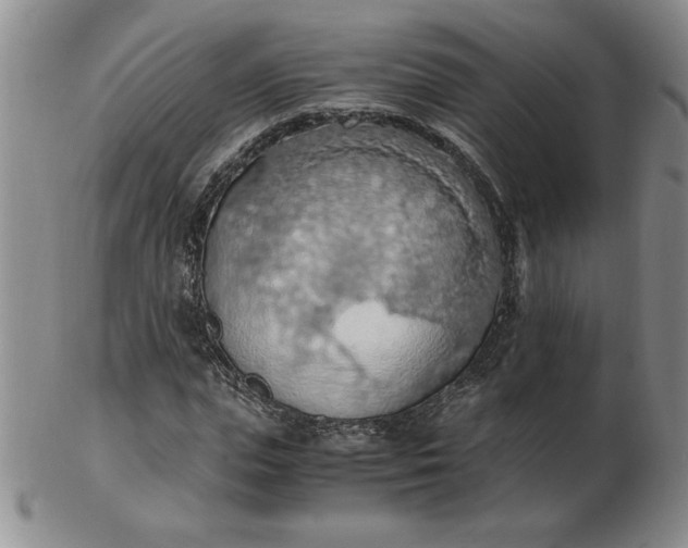 X0000103140823200809051612