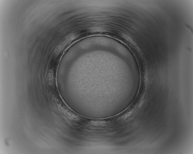 X0000103140825200809051612