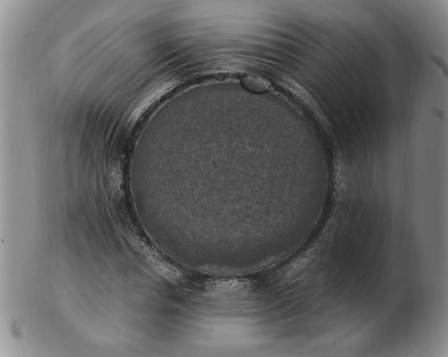 X0000103140826200809051612