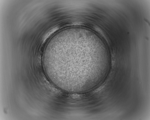 X0000103140827200809051612