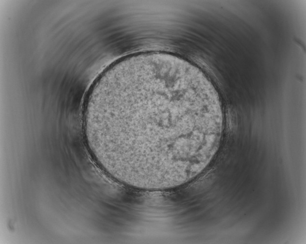 X0000103140828200809051612