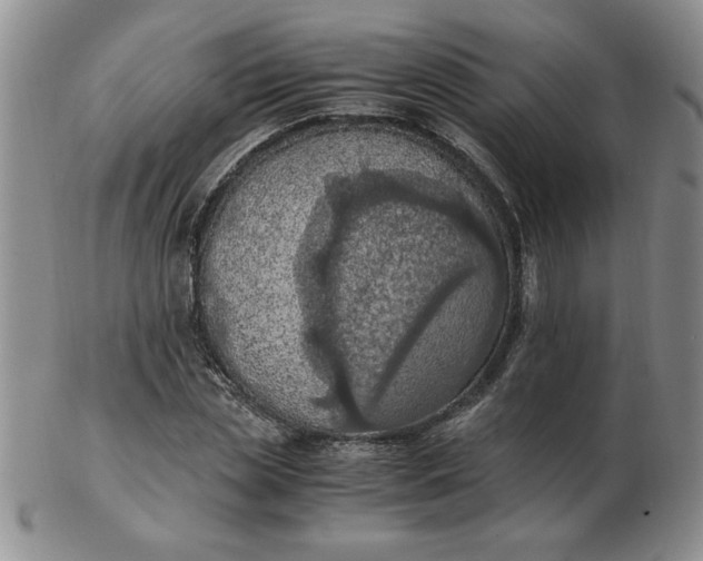 X0000103140829200809051612