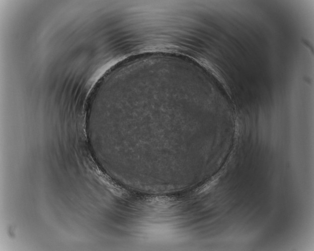 X0000103140830200809051612