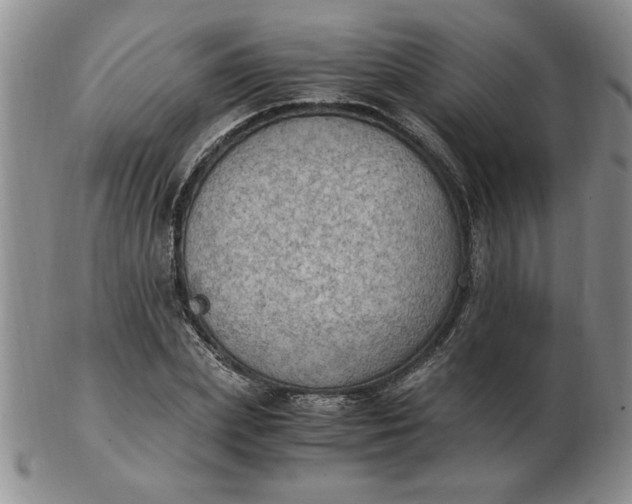 X0000103140831200809051612