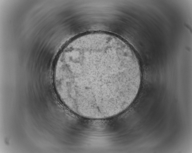 X0000103140832200809051612