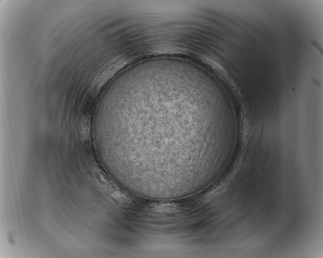 X0000103140833200809051612