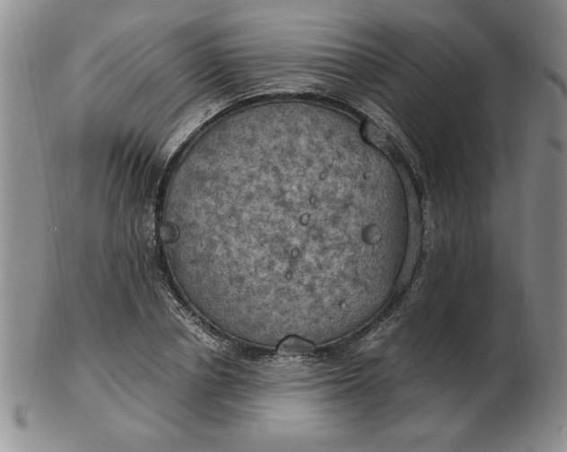 X0000103140834200809051612