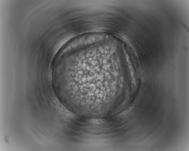 X0000103140835200809051612