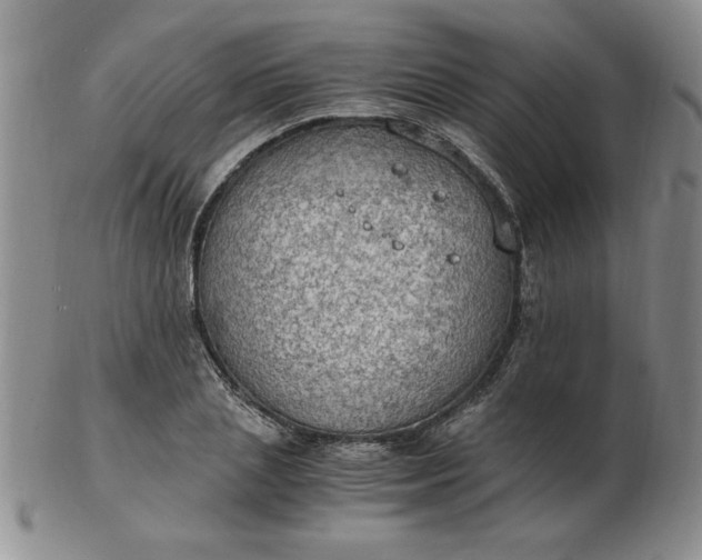 X0000103140837200809051612