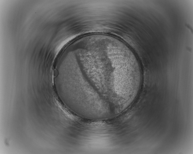 X0000103140838200809051612