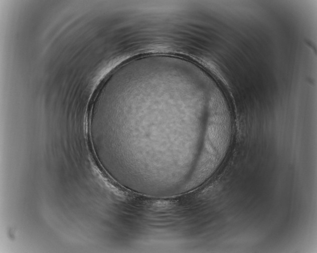 X0000103140839200809051612