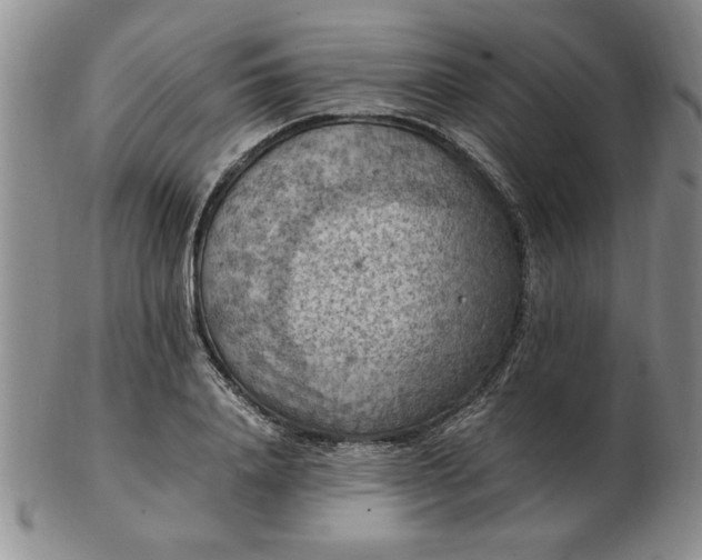 X0000103140840200809051612