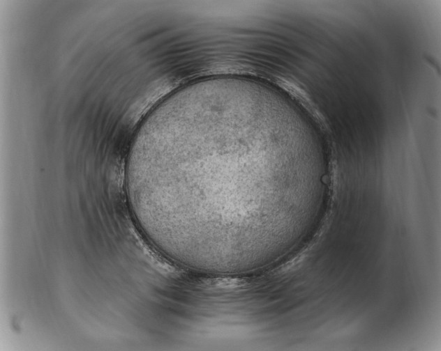 X0000103140841200809051612