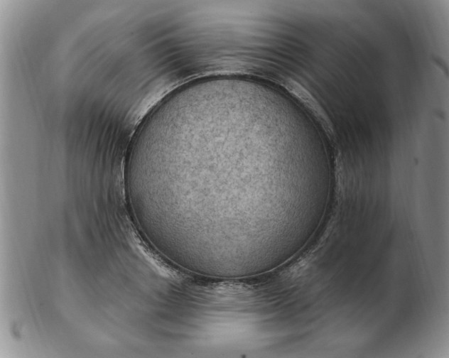 X0000103140842200809051613