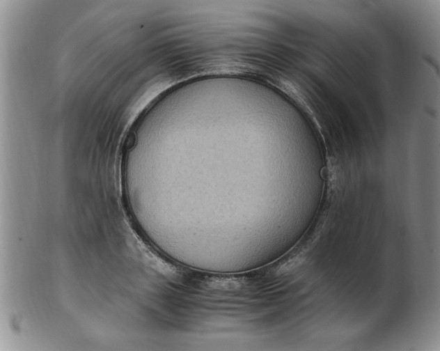 X0000103140843200809051613