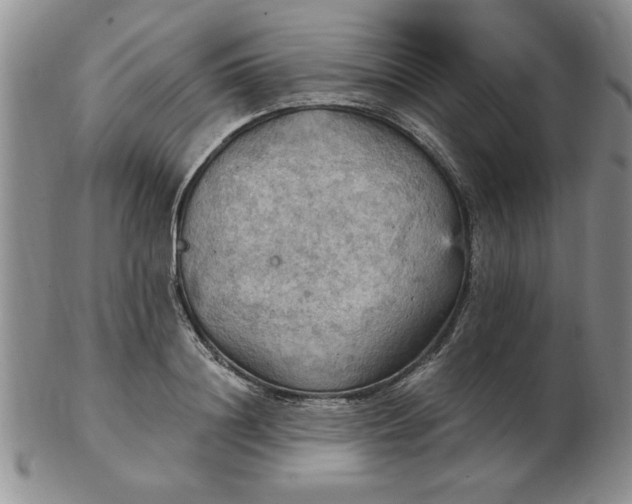 X0000103140844200809051613