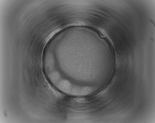 X0000103140845200809051613