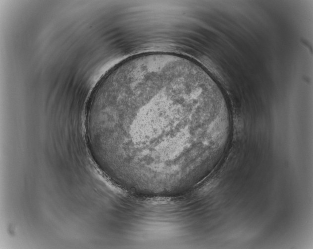 X0000103140846200809051613