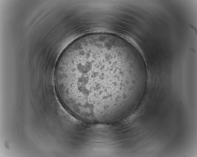 X0000103140847200809051613