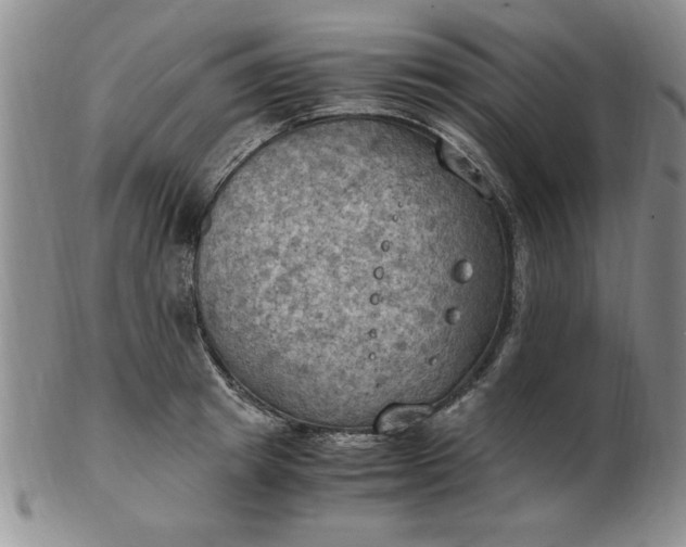 X0000103140849200809051613