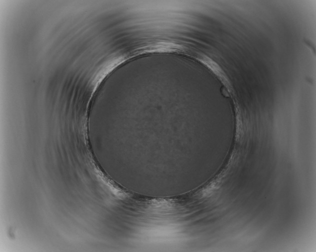 X0000103140850200809051613