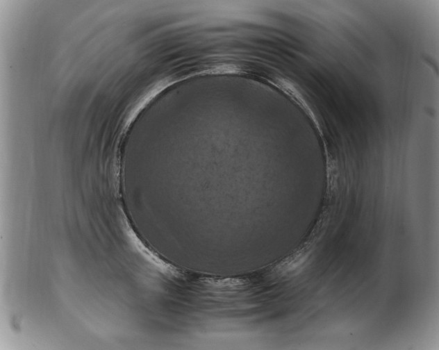 X0000103140851200809051613