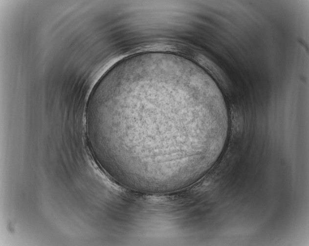 X0000103140852200809051613