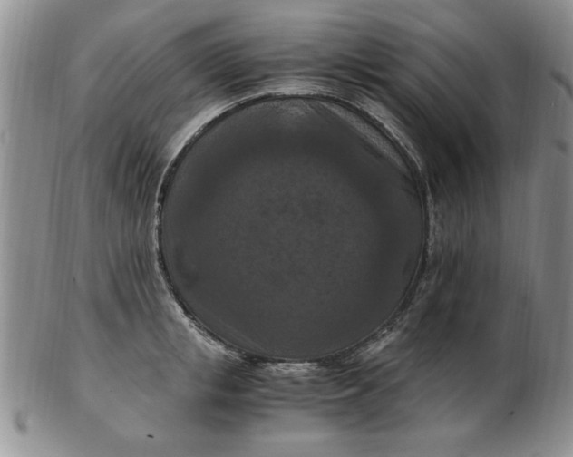 X0000103140853200809051613