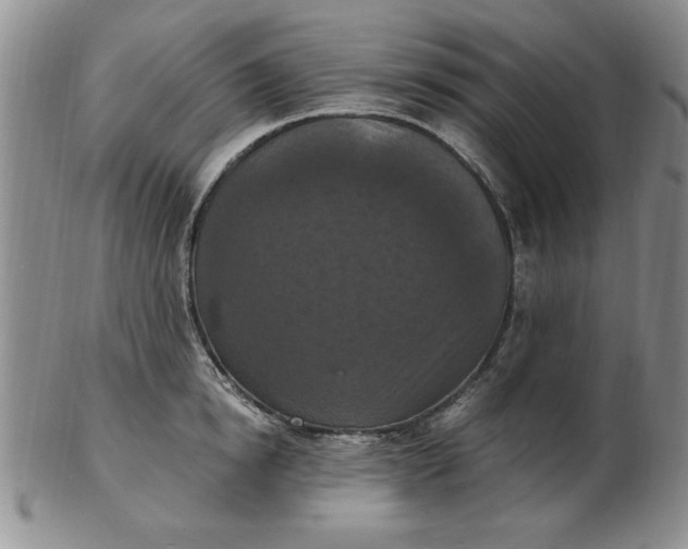 X0000103140854200809051613