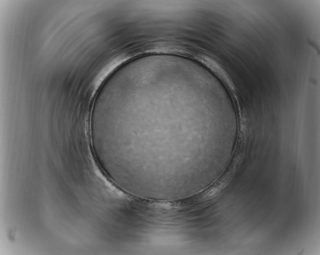 X0000103140855200809051613