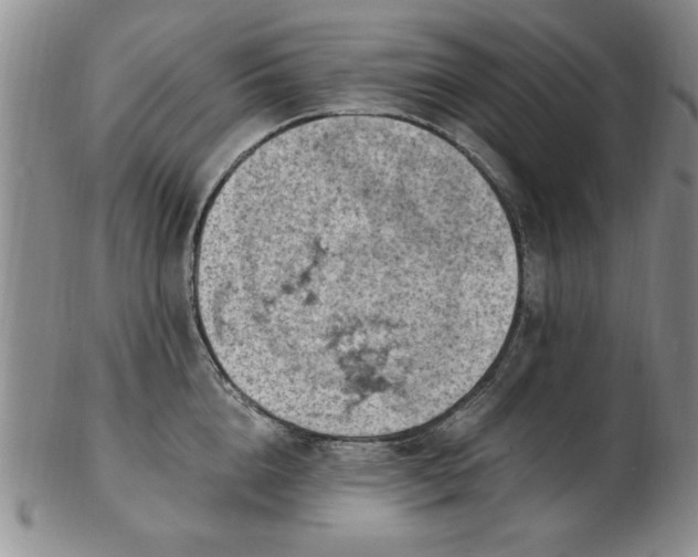 X0000103140856200809051613