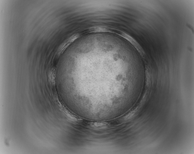 X0000103140857200809051613