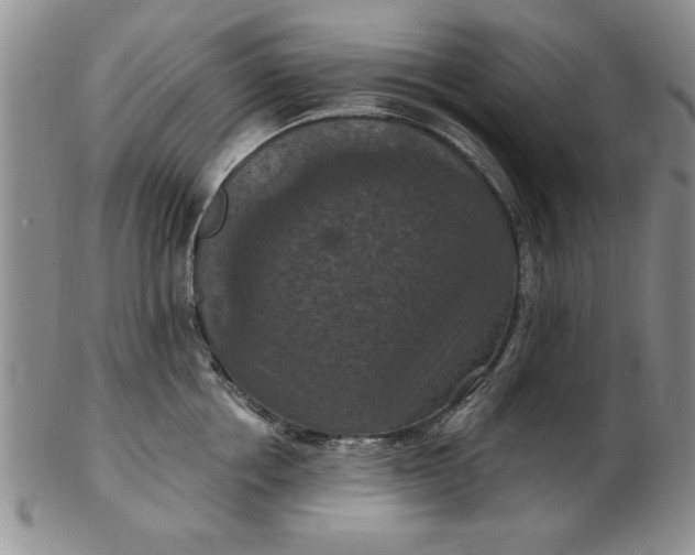 X0000103140858200809051613