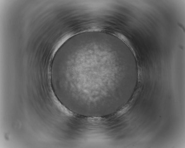 X0000103140859200809051613