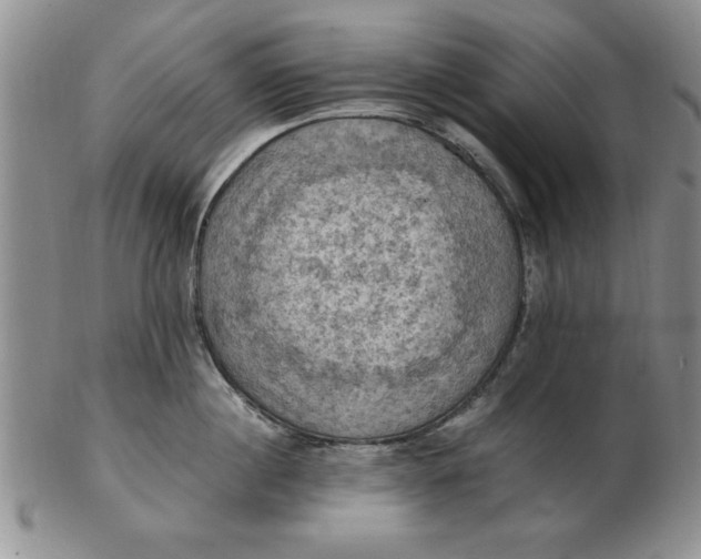 X0000103140860200809051613