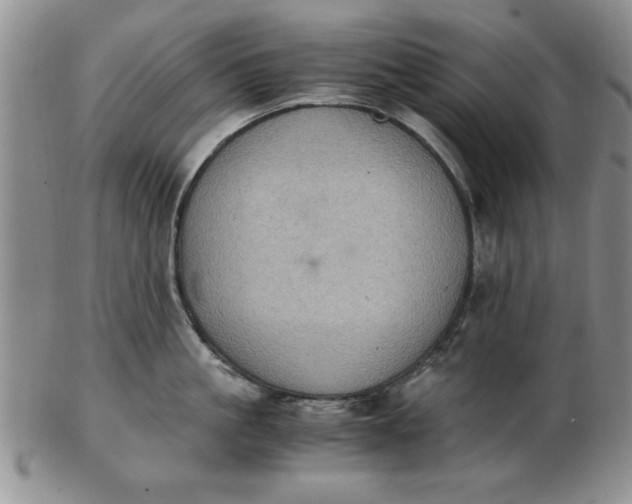 X0000103140861200809051613