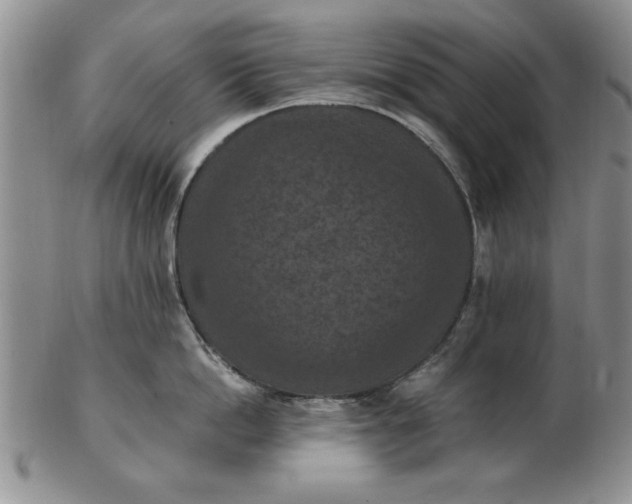 X0000103140862200809051613