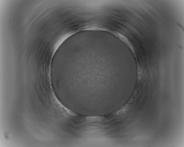 X0000103140863200809051613