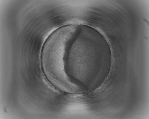 X0000103140864200809051613