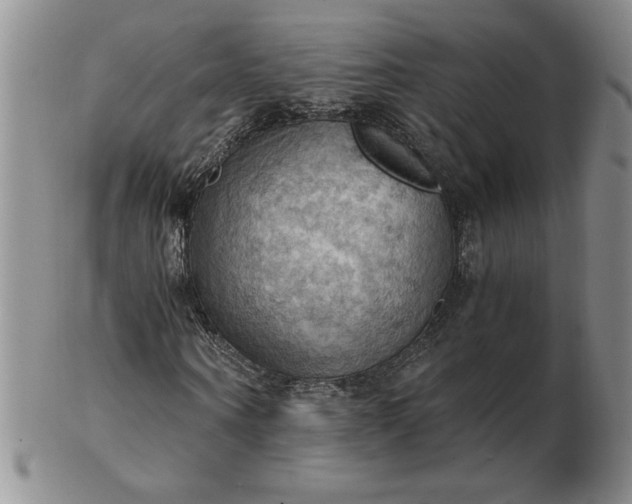 X0000103140866200809051612