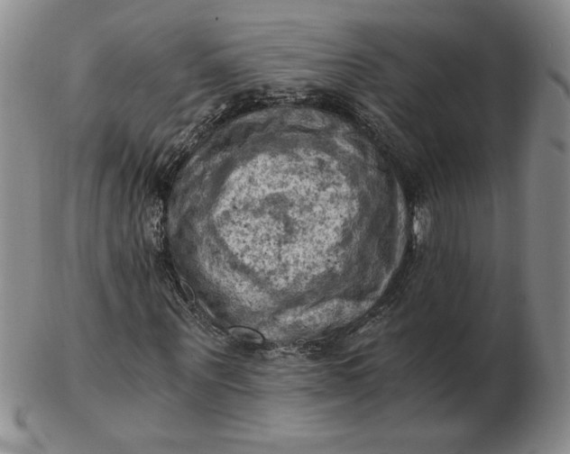 X0000103140867200809051612