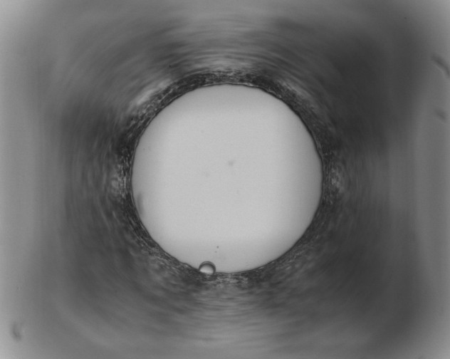 X0000103140869200809051612