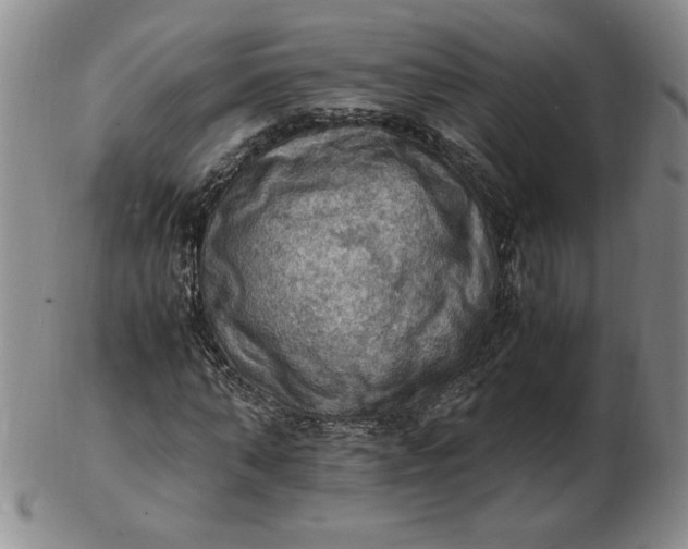 X0000103140870200809051612