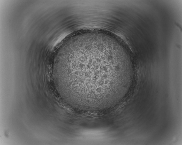 X0000103140871200809051612