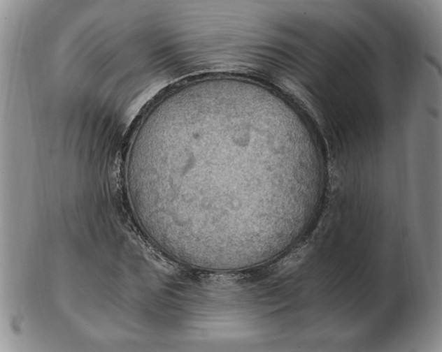 X0000103140875200809051612